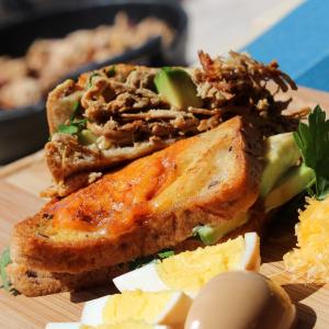 Tex Mex Ultimate Carnitas Grilled Cheese_image