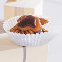 Chocolate-Covered Turtles image