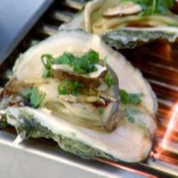 Oysters image