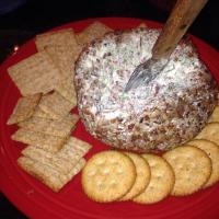 Beef and Green Onion Cheese Ball image
