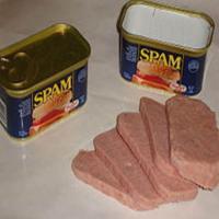 Spam & Cabbage_image