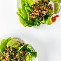 Lettuce Cups with Pork and Quinoa in Peanut Sauce_image