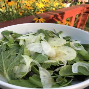 Onion-Bibb Salad image