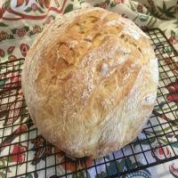 Rustic Italian Bread (sponge method)_image