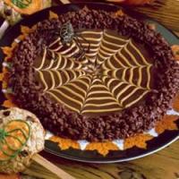 Spider Web Munch_image