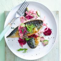 Pan-fried mackerel fillets with beetroot & fennel image
