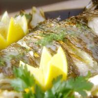 Mediterranean Grilled Whole Snapper with Fennel and a Pernod Butter Sauce image