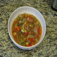 Salsa Vegetable Soup_image