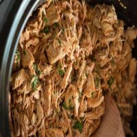 Shredded Salsa Chicken Recipe by Tasty_image