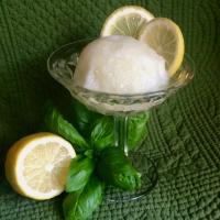 No-Churn Lemon-Basil Sorbet_image