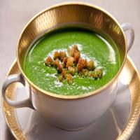 Spinach Cream Soup image