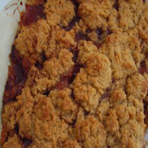 Oat, Coconut and Raspberry Bars_image
