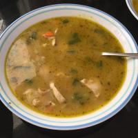 Spicy Chicken Curry Soup_image