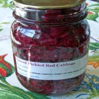 Spiced Pickled Red Cabbage image