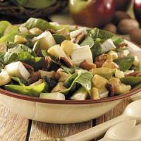 Apple-Brie Spinach Salad_image