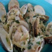 Clams Steamed in Champagne image