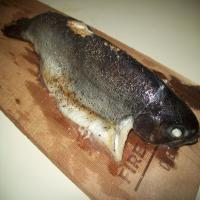 Plank Baked Rainbow Trout image