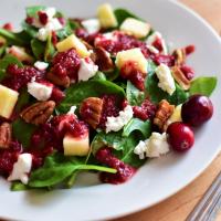 Fall Salad with Cranberry Vinaigrette image