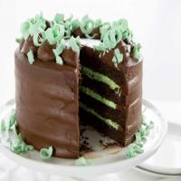 Mint Chocolate Layer Cake image