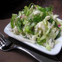 Red Cabbage and Romaine Coleslaw with Blue Cheese Dressing_image