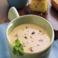 Southwest Cheese Soup image