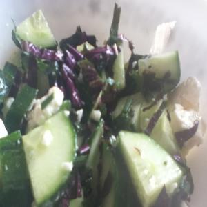 Shiso Cucumber Feta Salad_image