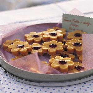 Peanut Butter and Jelly Fudge image