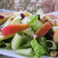 Winter Fruit Salad with Lemon Poppyseed Dressing_image