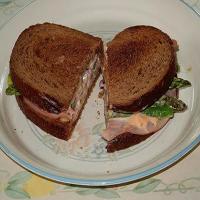 Very Tasty Asparagus Sandwich_image