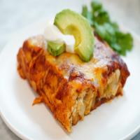 Ultimate Creamy Chicken Enchiladas image