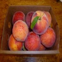 Canned Fresh Peaches_image
