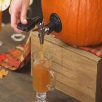 Pumpkin Keg Bourbon-Apple Punch image