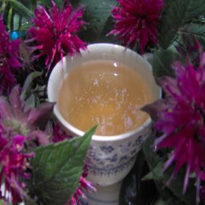 Bee Balm Tea image