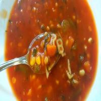 Instant Pot Alphabet Vegetable Soup_image