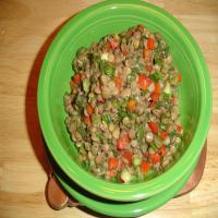 Warm Lentil Salad With Onion, Peppers, and Spinach image