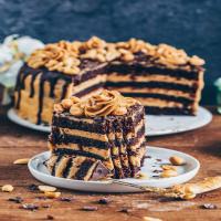 Chocolate Peanut Butter Cake_image