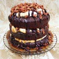 Chocolate Nirvana Cake image