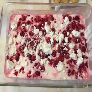 German Raspberry-Meringue Dessert image