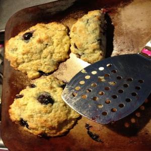 Blueberry Biscuits Recipe - (4.5/5)_image
