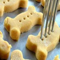 Cleo's Pumpkin Dog Biscuits Recipe - (4.5/5)_image