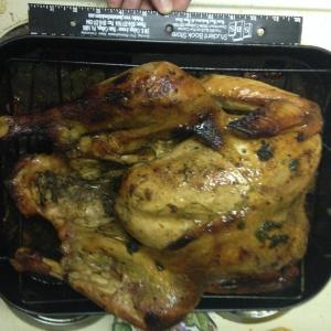 Maple Roast Turkey and Gravy_image