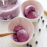 Blueberry Frozen Yogurt image