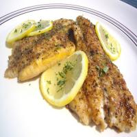 Bisquick Herbed Fish Recipe - (4.3/5)_image