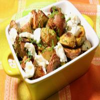 Roasted Mixed Potatoes with Fresh Herbs and Burrata_image