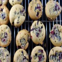 Blackberry Mini-Muffins or Mini-Cupcakes - You Decide!_image