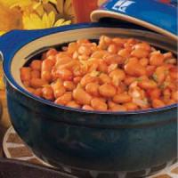 Salsa Pinto Beans image
