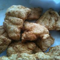 Southern Fried Catfish_image