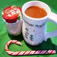 Gingerbread Creamer for Coffee or Tea (Gift Mix)_image