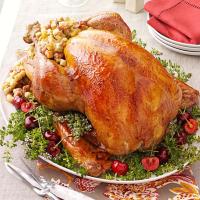 Turkey with Cherry Stuffing image