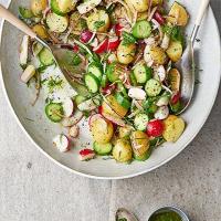 Summer allotment salad with English mustard dressing image